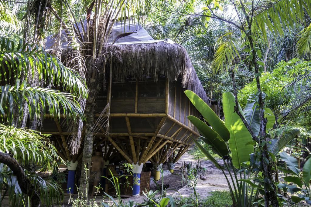 Universo Pol Bamboo