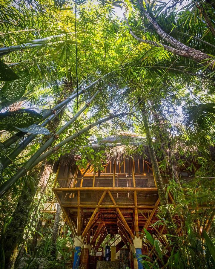 Universo Pol Bamboo